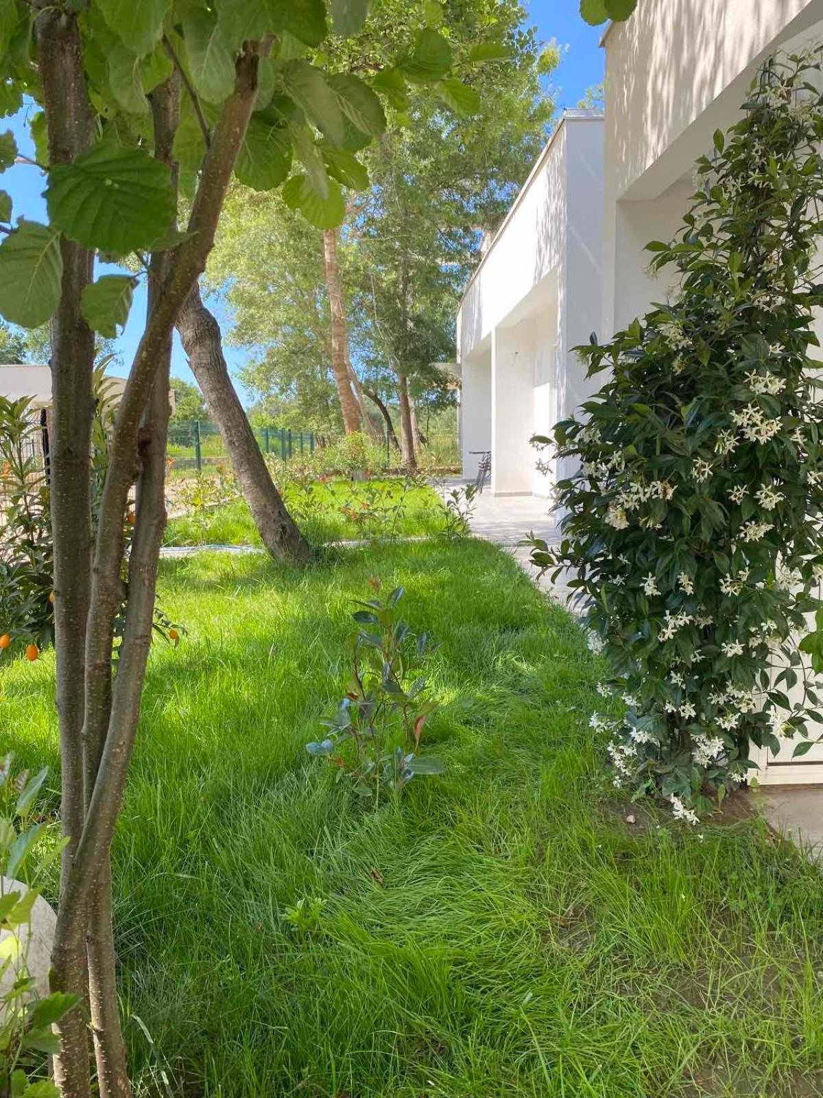 Villa Hanna Ulcinj Exterior foto